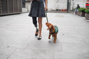 Woman with a prosthetic right leg walks along the street with an assistance dog on a lead. The honey brown dog wears a green coat printed with the wording 'assistance dog'.